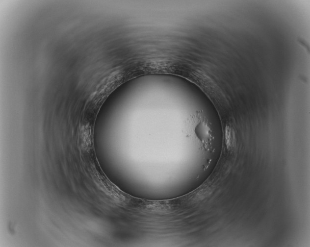 X0000102241107200808011241