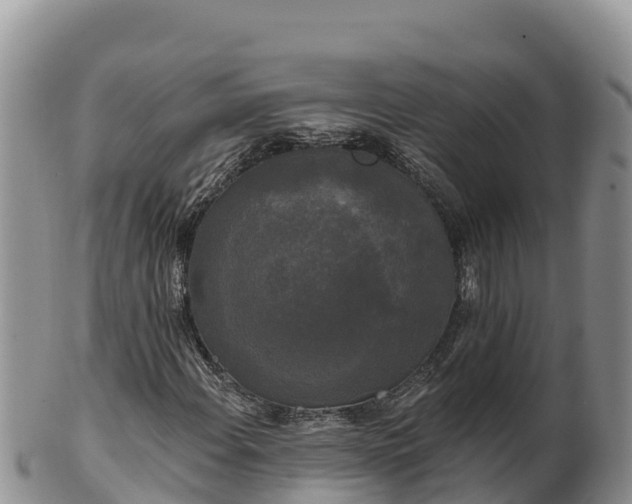 X0000102241108200808011241