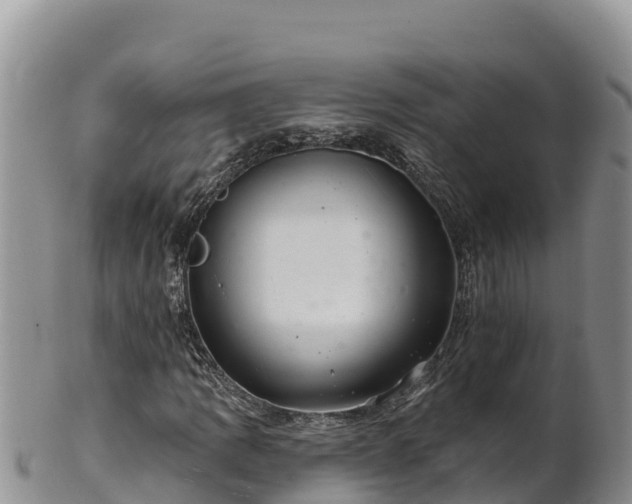 X0000102241109200808011241