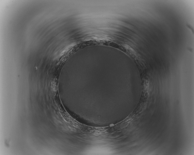 X0000102241110200808011241