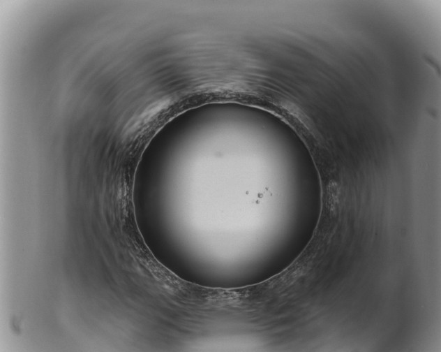 X0000102241111200808011241