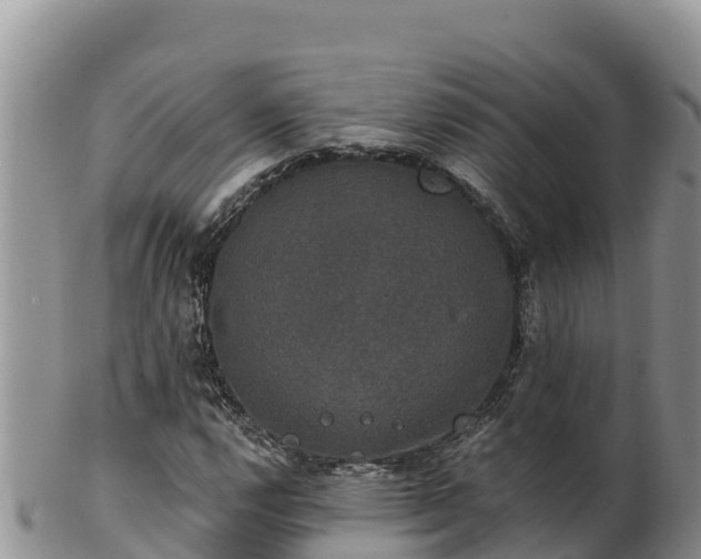 X0000102241112200808011241