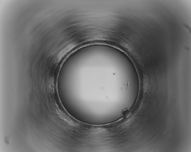 X0000102241113200808011241