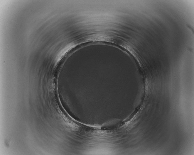 X0000102241115200808011241