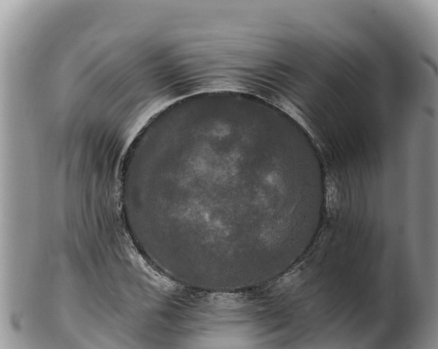 X0000102241116200808011242