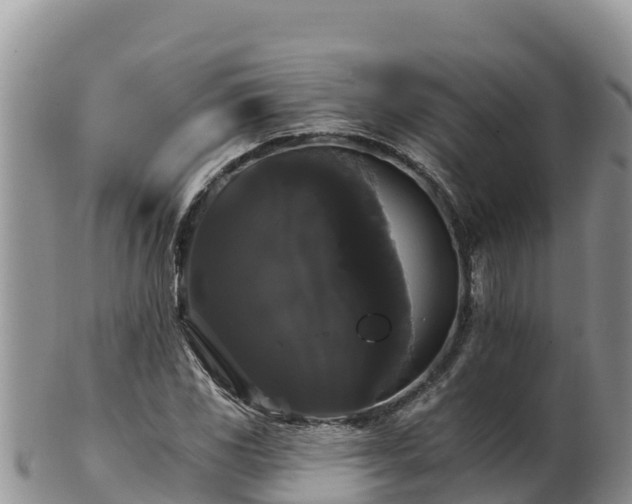 X0000102241117200808011242