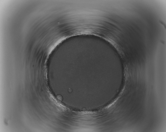 X0000102241118200808011242