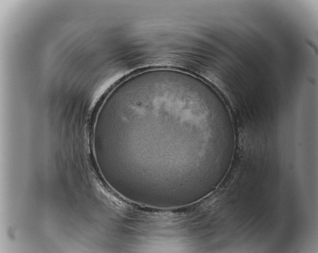 X0000102241120200808011242