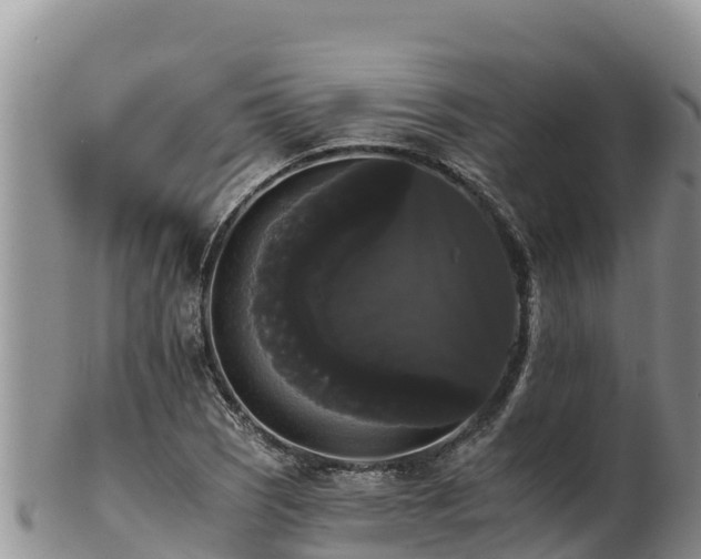 X0000102241121200808011242