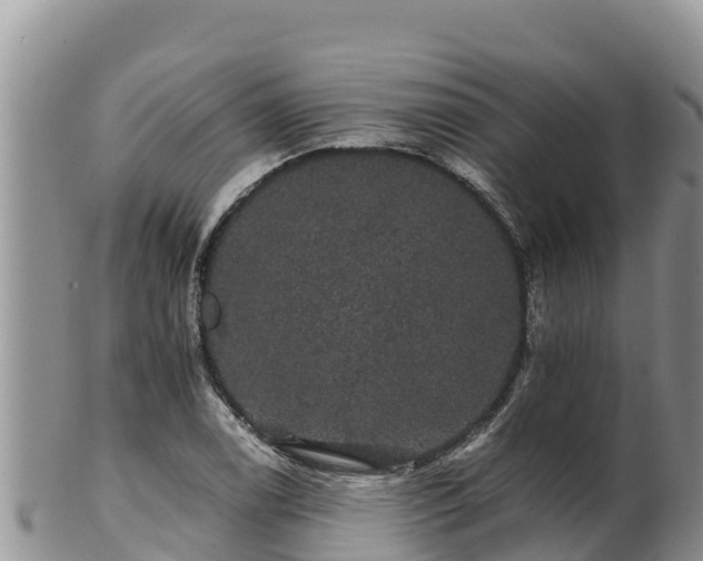 X0000102241122200808011242