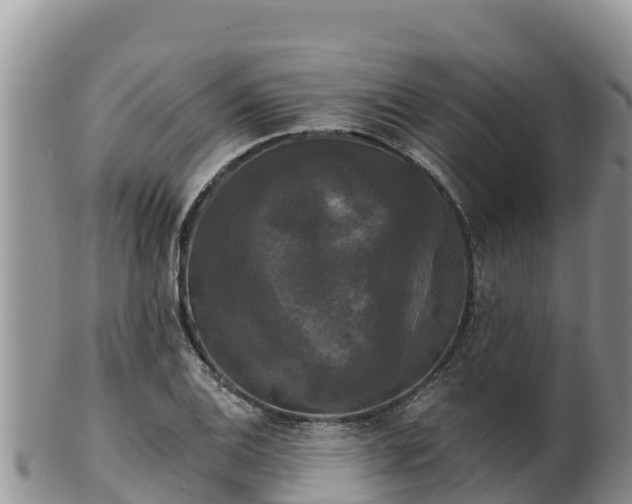 X0000102241124200808011242