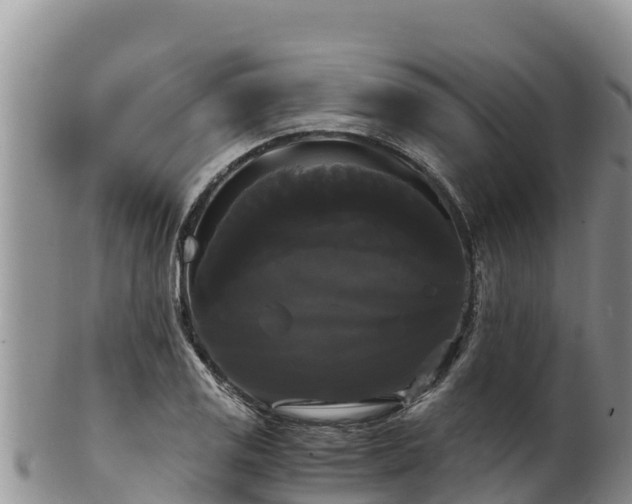 X0000102241125200808011242