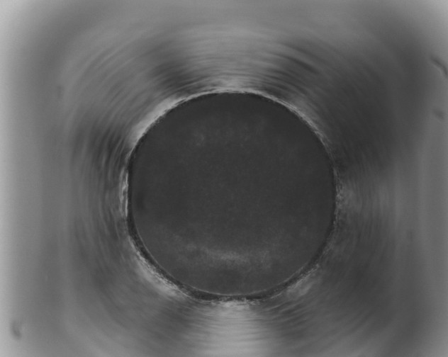 X0000102241126200808011242