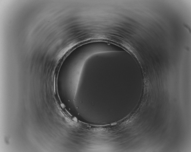 X0000102241127200808011242