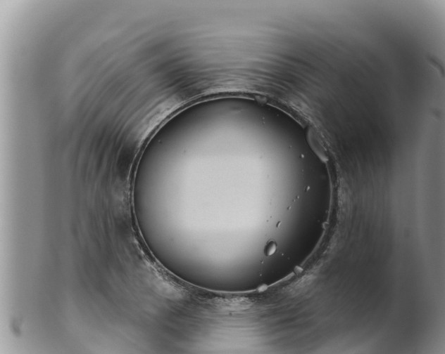 X0000102241129200808011242