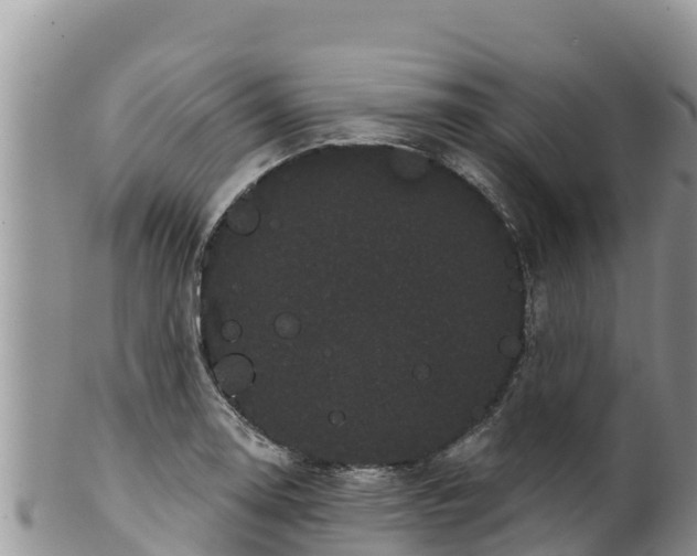 X0000102241130200808011242