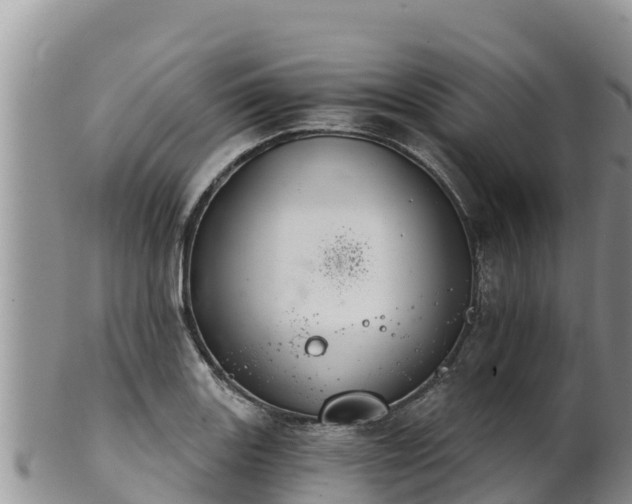 X0000102241131200808011242