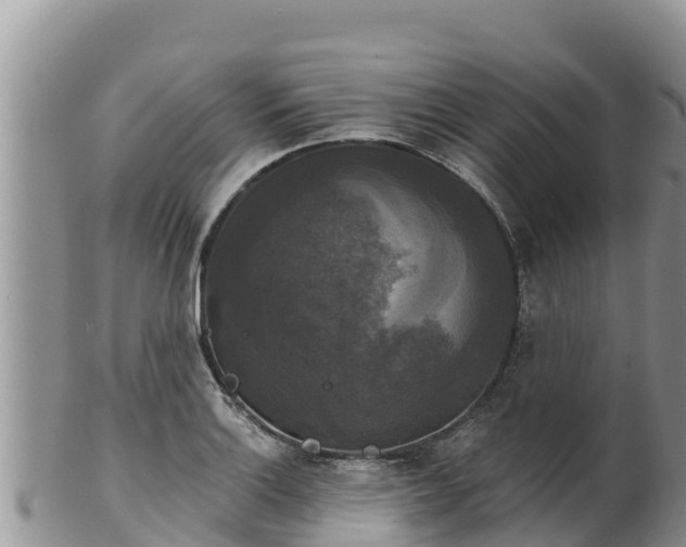 X0000102241132200808011242