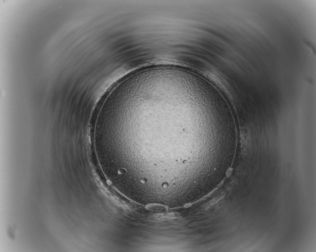 X0000102241133200808011242