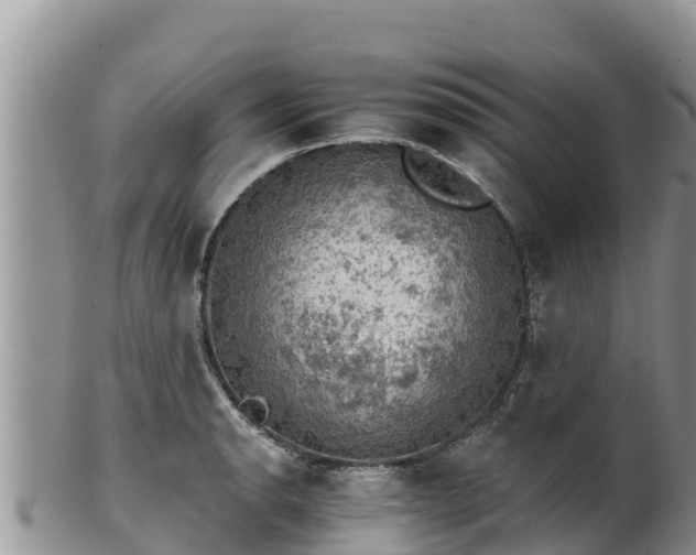 X0000102241134200808011242