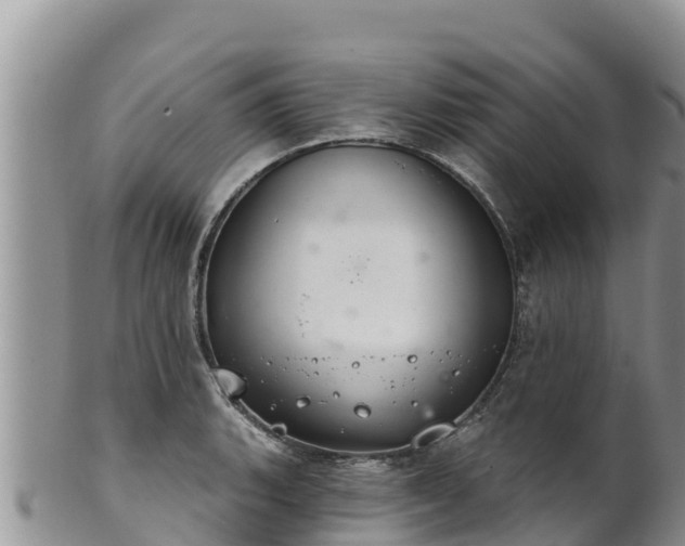 X0000102241135200808011242