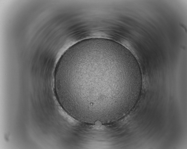 X0000102241136200808011242