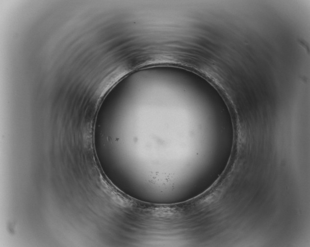 X0000102241137200808011242