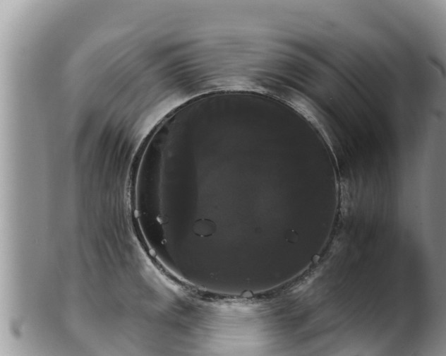 X0000102241141200808011242