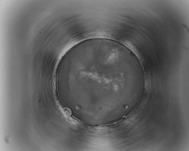 X0000102241144200808011242