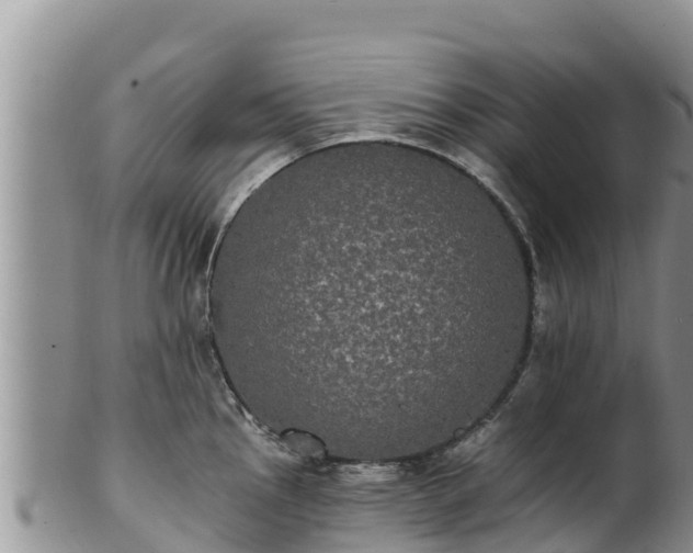 X0000102241145200808011242