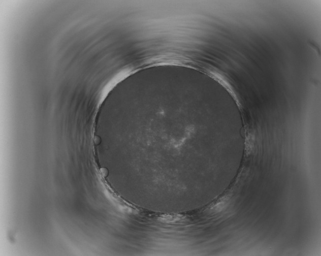 X0000102241146200808011242