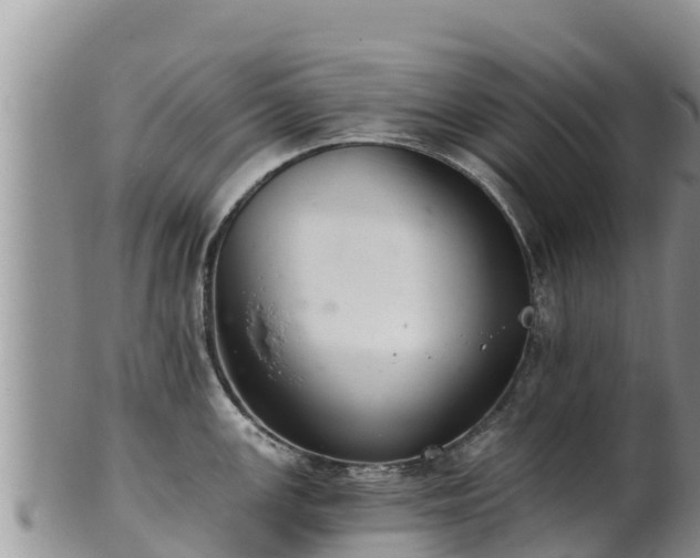 X0000102241147200808011242