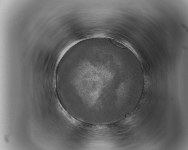 X0000102241148200808011242