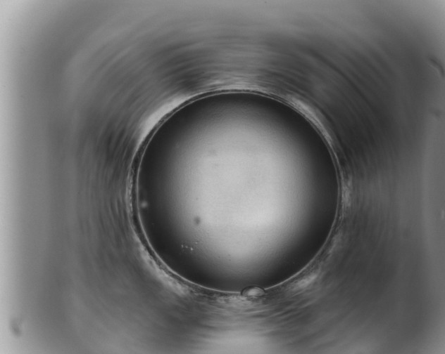 X0000102241149200808011242