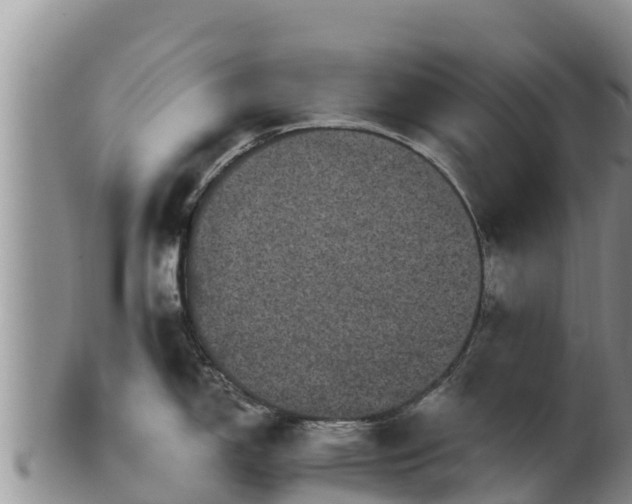 X0000102241150200808011242