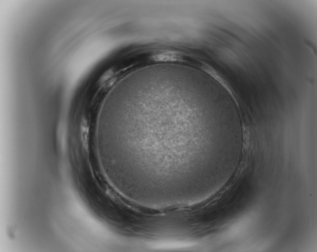 X0000102241151200808011242