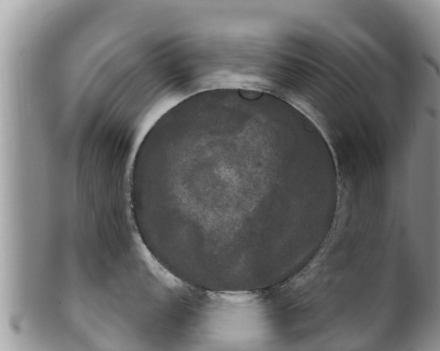 X0000102241152200808011242