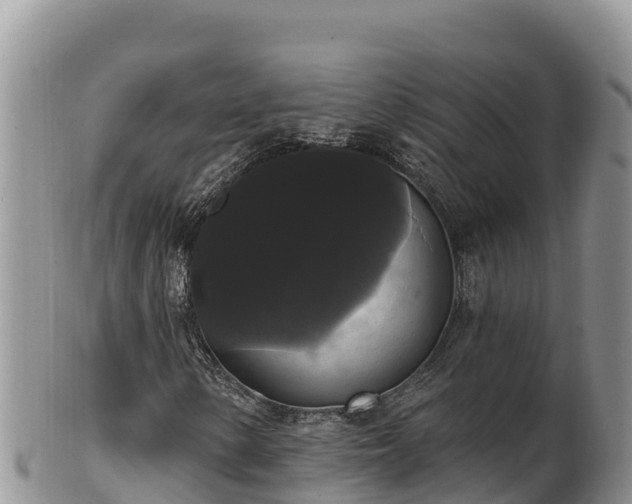 X0000102241154200808011241