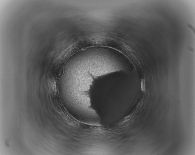 X0000102241155200808011241