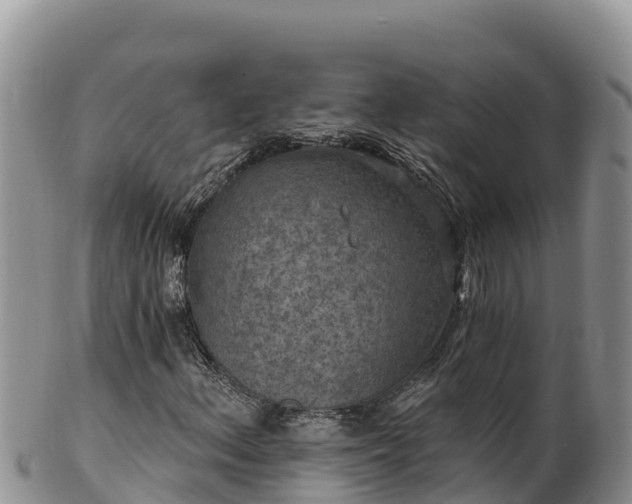 X0000102241156200808011241