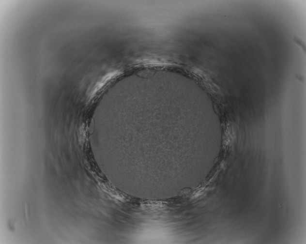 X0000102241157200808011241