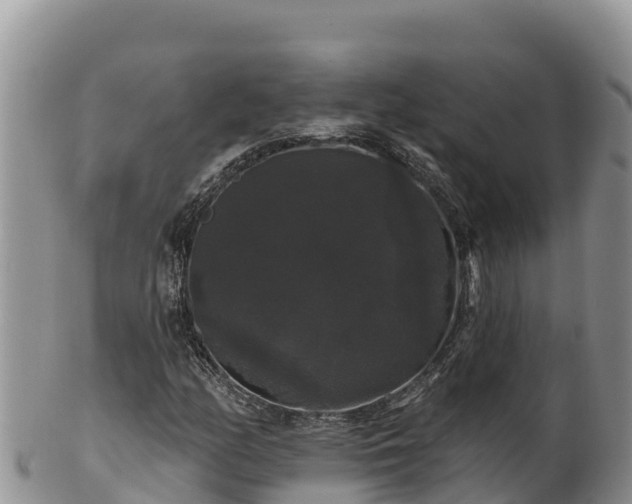 X0000102241158200808011241