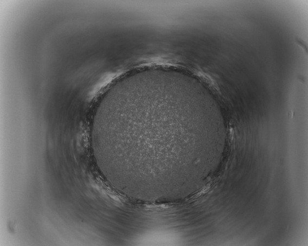 X0000102241159200808011241