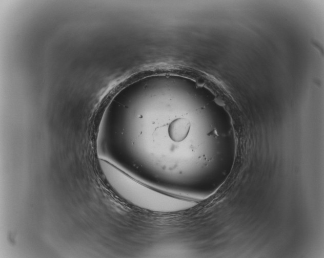 X0000102241160200808011241