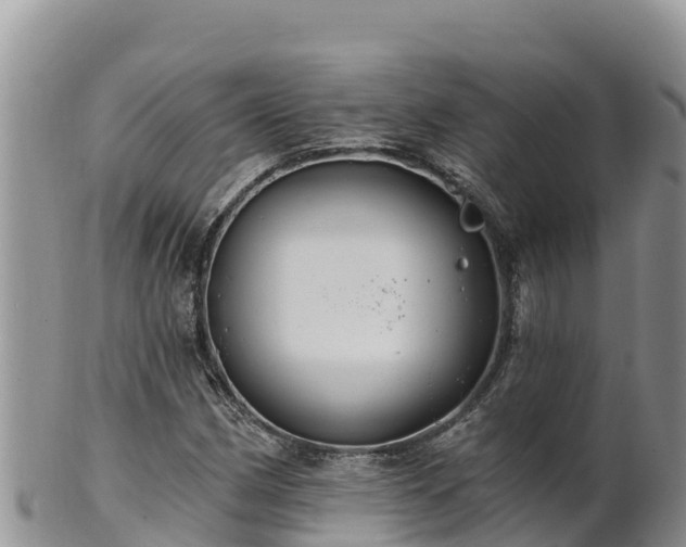 X0000102241162200808011241