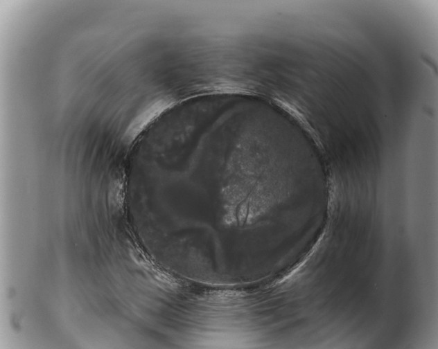 X0000102241163200808011241