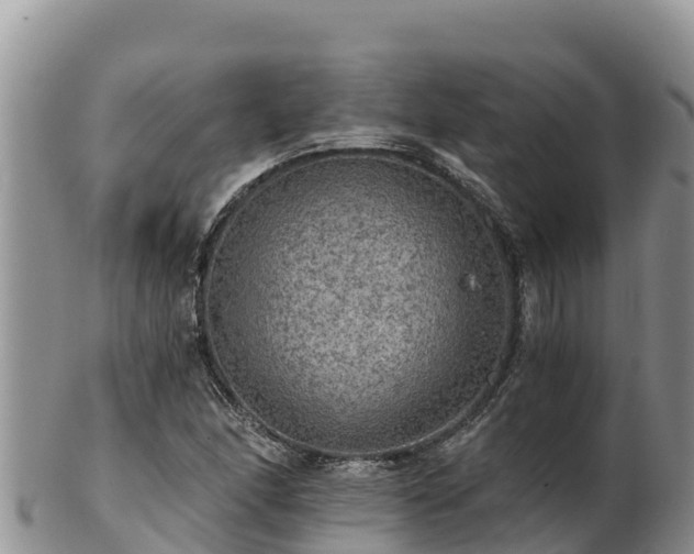 X0000102241166200808011241