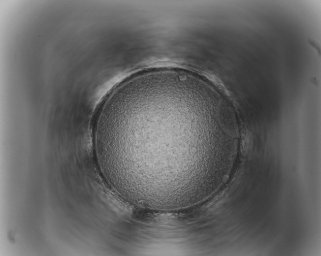 X0000102241167200808011241