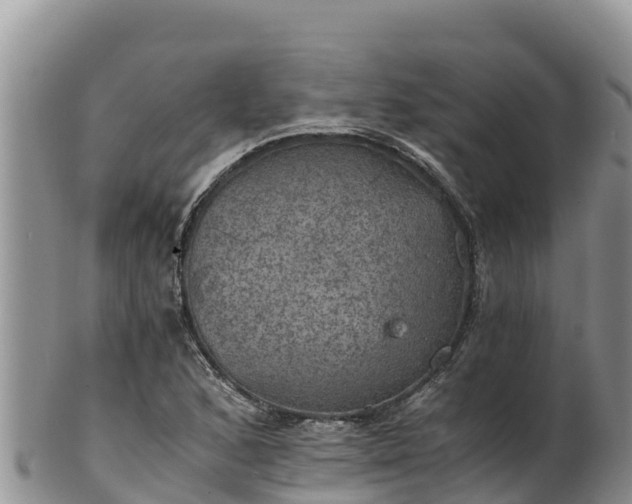 X0000102241168200808011241