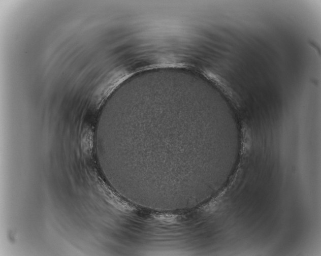 X0000102241169200808011241